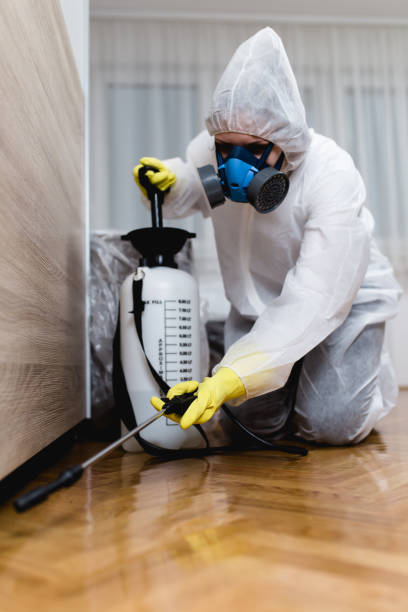 Emergency Pest Control in New Sarpy, LA